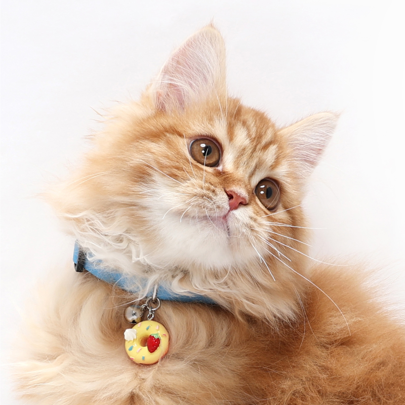 猫 首輪 「 ドーナツ 」 かわいい 鈴 大きい鈴 カラフル スイーツ