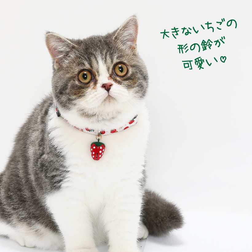 猫 首輪 「 いちご 」 かわいい イチゴ 苺 くだもの フルーツ 鈴  
