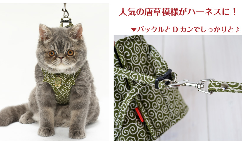 猫 ハーネス 「 猫に小判 」（ 単品 ） 1号 ／ 2号 唐草模様