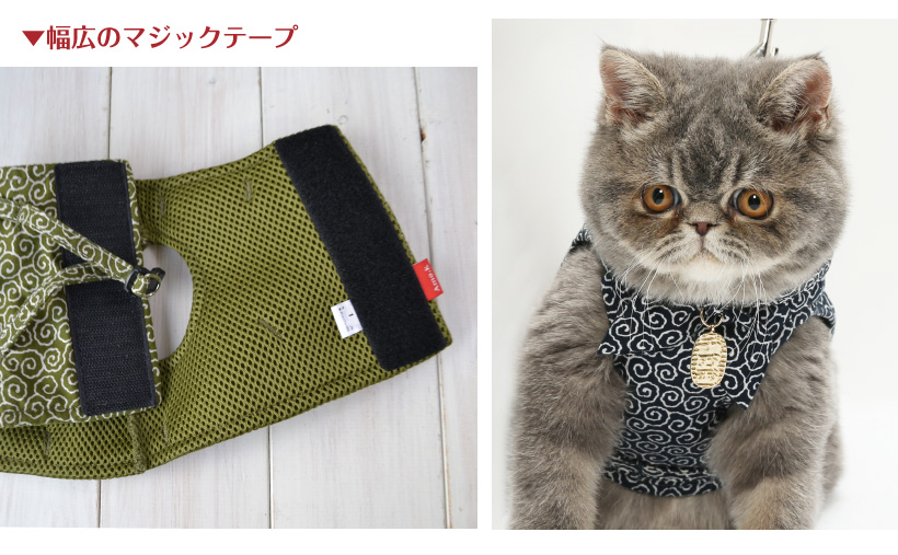 猫 首輪 「 猫に小判 」 ( 鈴 小判チャーム付き仕様 ) 唐草模様