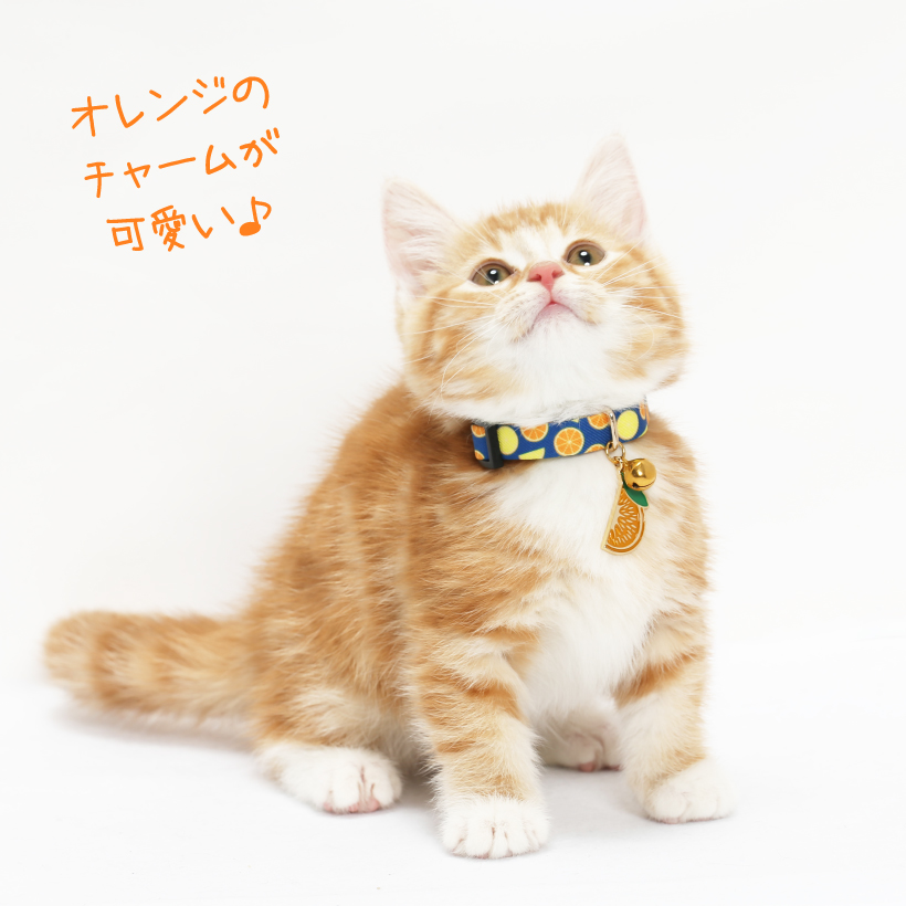 猫 首輪 「 オレンジ 」 かわいい みかん 上品 くだもの フルーツ 鈴