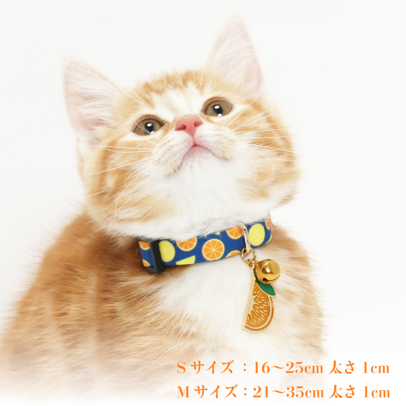 猫 首輪 「 オレンジ 」 かわいい みかん 上品 くだもの フルーツ 鈴
