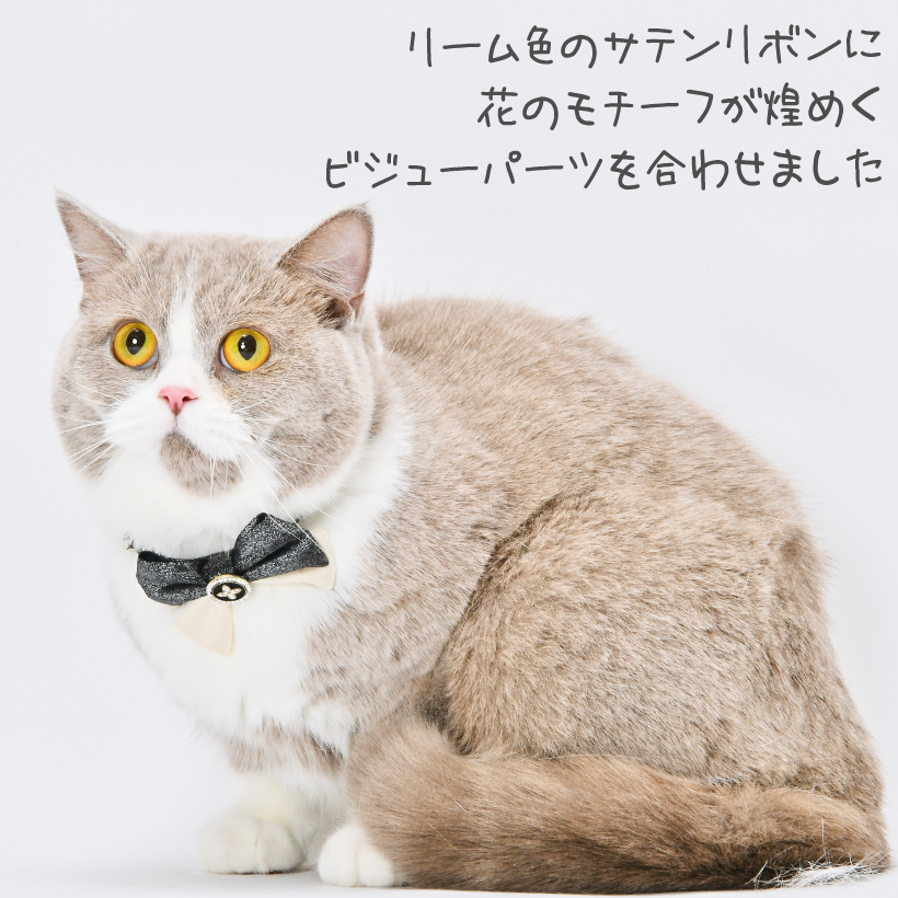 猫 首輪 「 パーティーリボン 」 ( 鈴チャーム付き 仕様