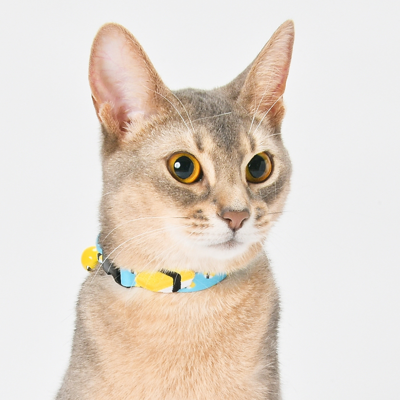 猫 首輪 「 日本製 寿司 SUSHI 」 かわいい 寿司柄 えび たまご