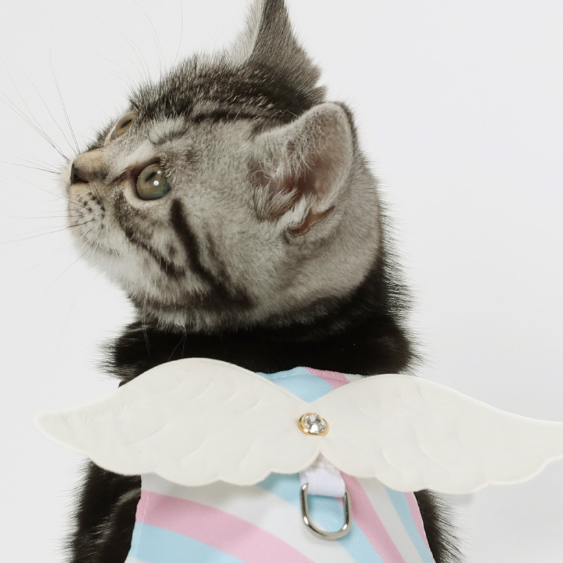 猫 ベビーハーネス 「 天使 」 かわいい 天使の羽根 羽 パステルカラー ねこ用 ハーネス リード別売り｜petgp｜04