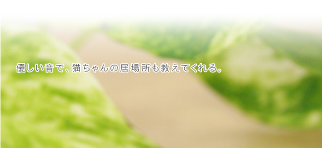 カラフル
