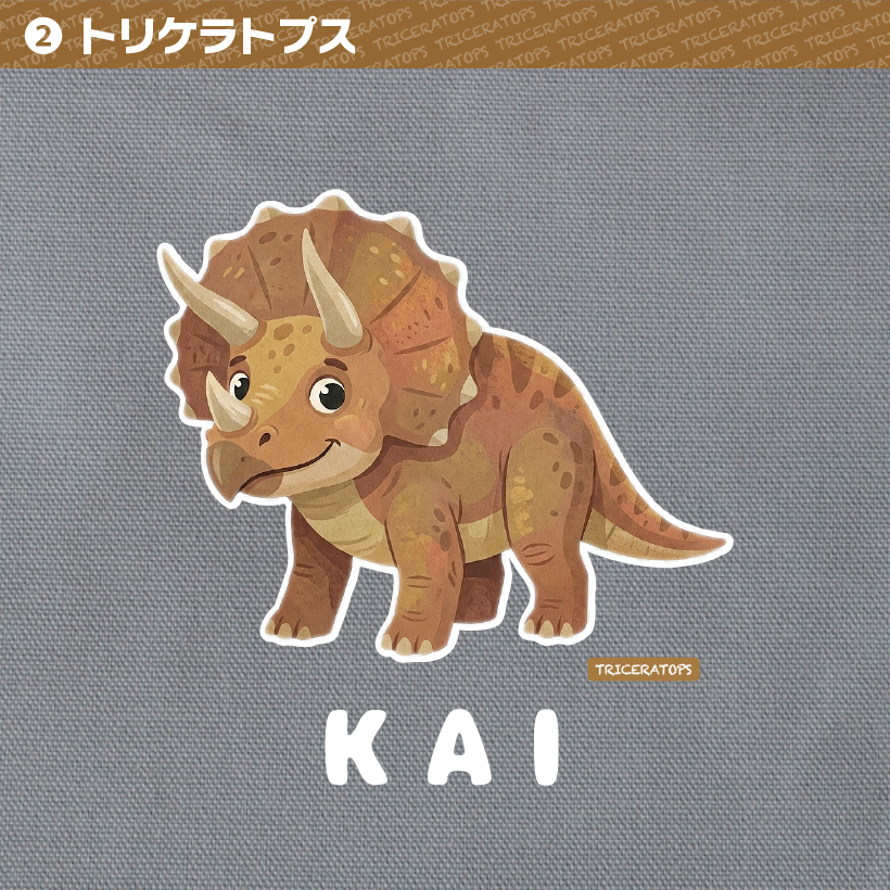 恐竜イラスト レッスンバッグ トートバッグ 子供 キッズ 名入れ 名前