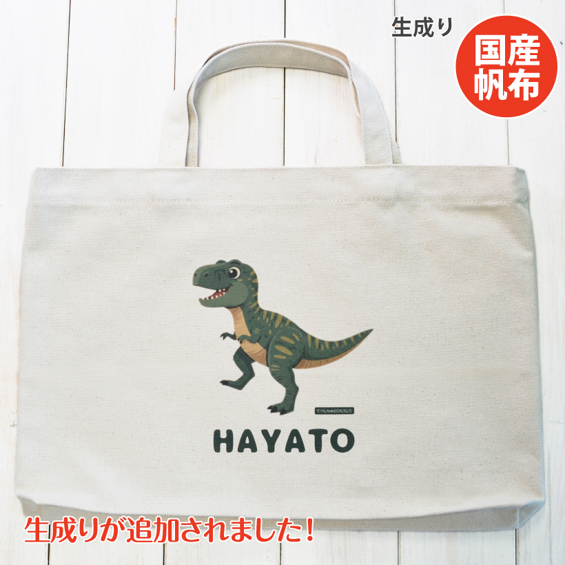 恐竜イラスト レッスンバッグ トートバッグ 子供 キッズ 名入れ 名前