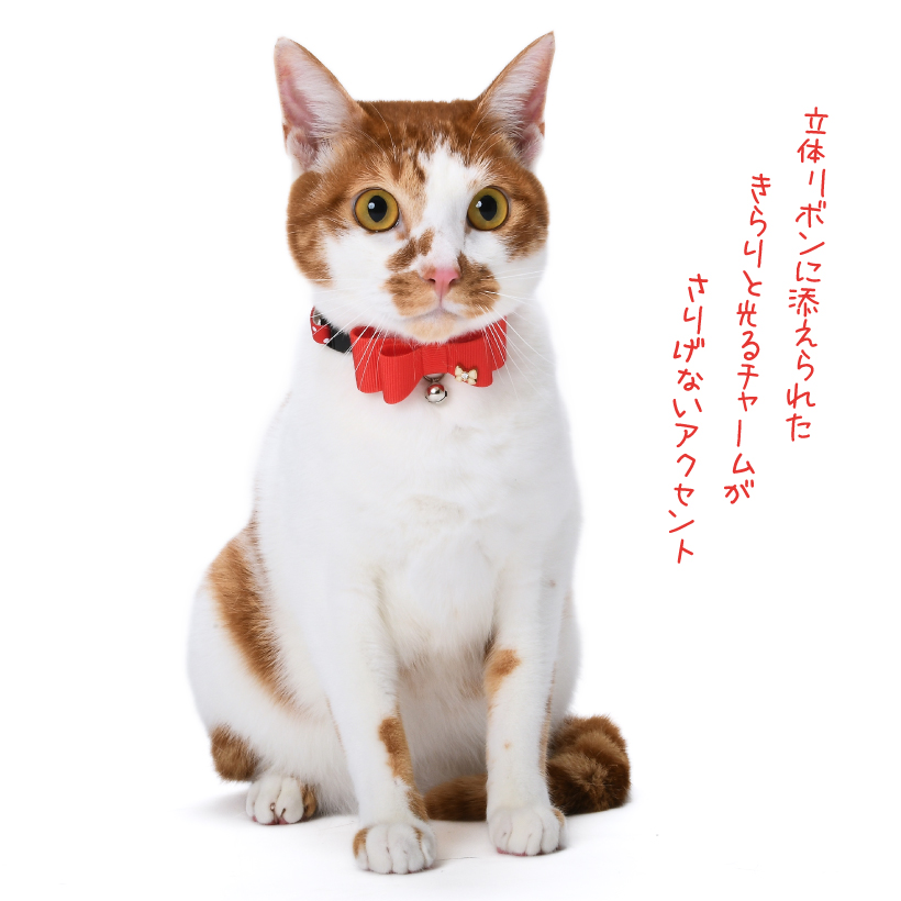 猫 首輪 エミリー リボンチャーム付き 大きいリボン おしゃれ ドット柄