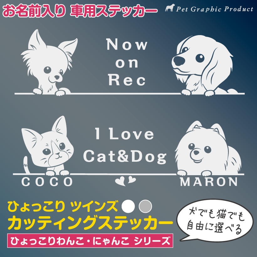 選定された行進 foil ボーダーレス 両面 犬猫 車用 犬 猫 カッティングステッカー 「 ひょっこりツインズ 26×7.8cm
