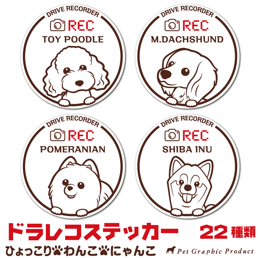 Amazon.co.jp: ドギーマン ホワイデント ササミdeデンタル 野菜入り (70g) 犬用おやつ 歯磨き : ペット用品