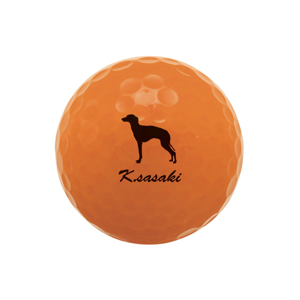 Kasco KIRABOON BALL こたろー犬 楽天市場】Kasco KIRA Sweet ゴルフボール 名入れ ゴルフボール