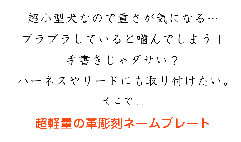 取り付け金具なし 超軽量 0.1以下 