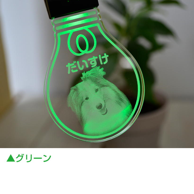 犬 LEDチャーム 光るキーホルダー USB充電式 名入れ 《 MYフォト 電球型 》写真入れ 可愛いデザイン 夜の散歩に大活躍！ 
