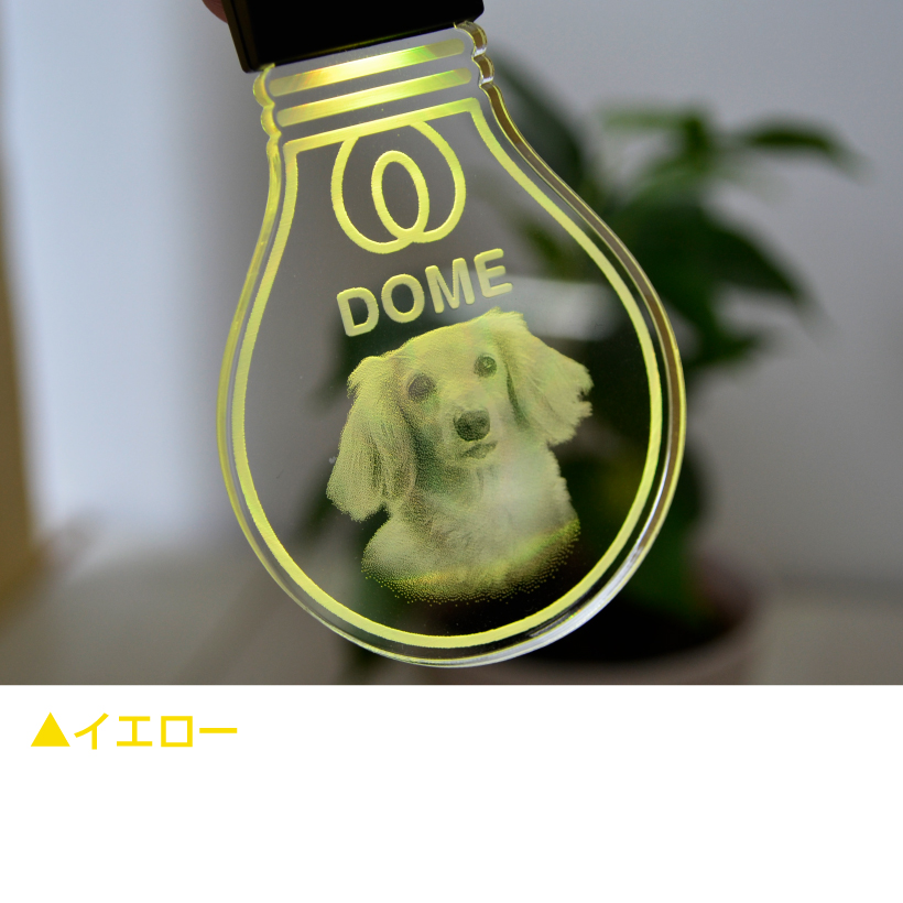 犬 LEDチャーム 光るキーホルダー USB充電式 名入れ 《 MYフォト 電球型 》写真入れ 可愛いデザイン 夜の散歩に大活躍！ 