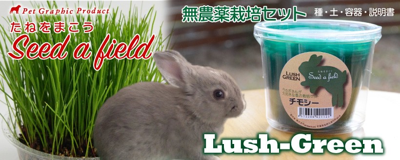 ウサギ 餌 ポットで育てる栽培セット 生牧草 ラッシュグリーン うさぎ エサ Lushgreen Seed 02 ペットグラフィックプロダクト 通販 Yahoo ショッピング