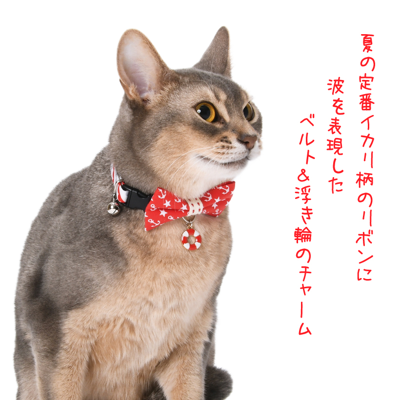 猫 首輪 「 マリン Marine 」 ( 浮き輪チャーム付き ) 鈴 季節 夏