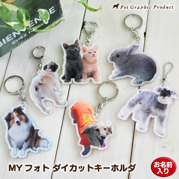 my-p-daicut-key112.jpg