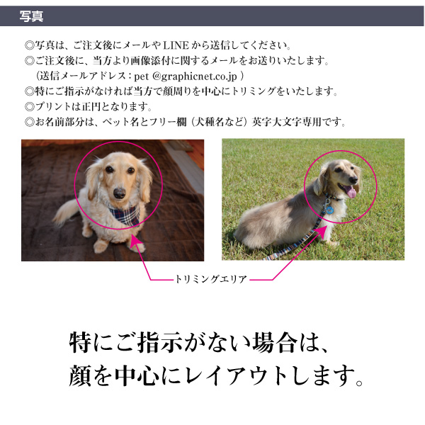 犬 トートバッグ お散歩バッグ 写真入り リサイクル デニム 猫 お名前