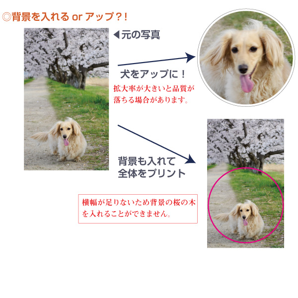 トートバッグ お散歩バッグ 「 MYフォト リサイクル デニム バッグ
