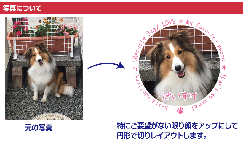 写真入りオリジナルお散歩バッグ