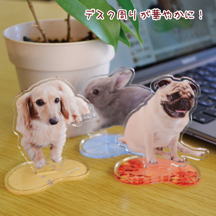 写真で作る 猫 オリジナル ＜ ダイカット アクリルスタンド ＞ MYフォト アクスタ 切り抜き 犬 ペット以外もOK【  同じ仕様で追加なら+@1,100円 】