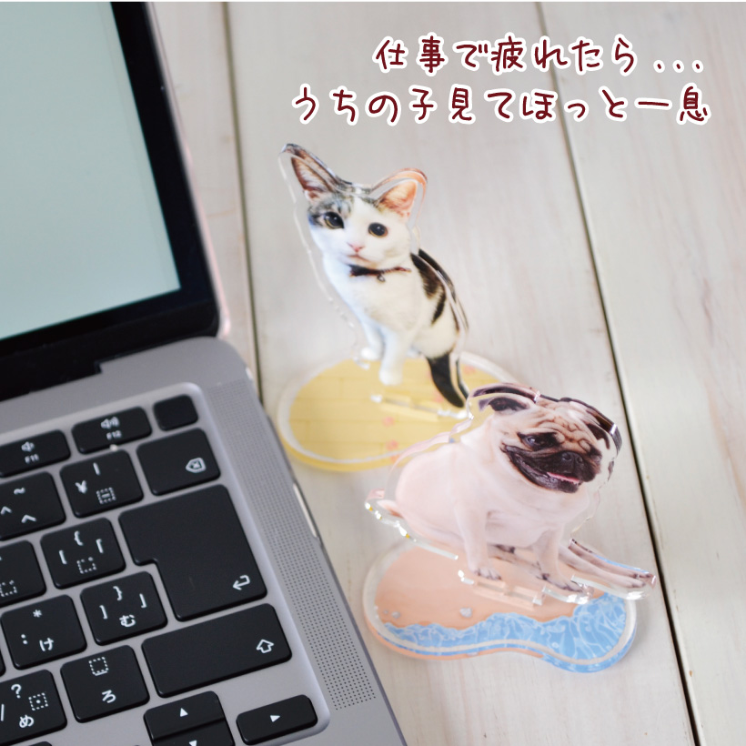 写真で作る 猫 オリジナル ＜ ダイカット アクリルスタンド ＞ MYフォト アクスタ 切り抜き 犬 ペット以外もOK【  同じ仕様で追加なら+@1,100円 】