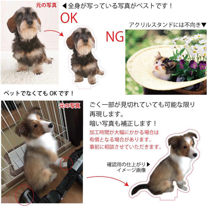 写真で作る 犬 オリジナル ＜ ダイカット アクリルスタンド ＞ MY