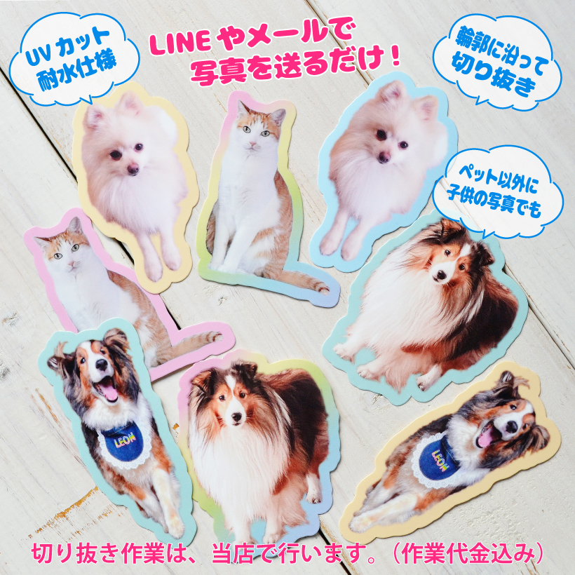 ステッカー 犬 猫 オリジナル 《 ダイカットminiステッカー 》【 5色 各3枚 15枚セット 】 写真 画像 シール オーナーグッズ MYフォト 切り抜き ダイカット パステルカラー ペット以外もOK 子供 スマホケースに入れる 屋外対応 耐水 色褪せしにくい シェアできる かわいい