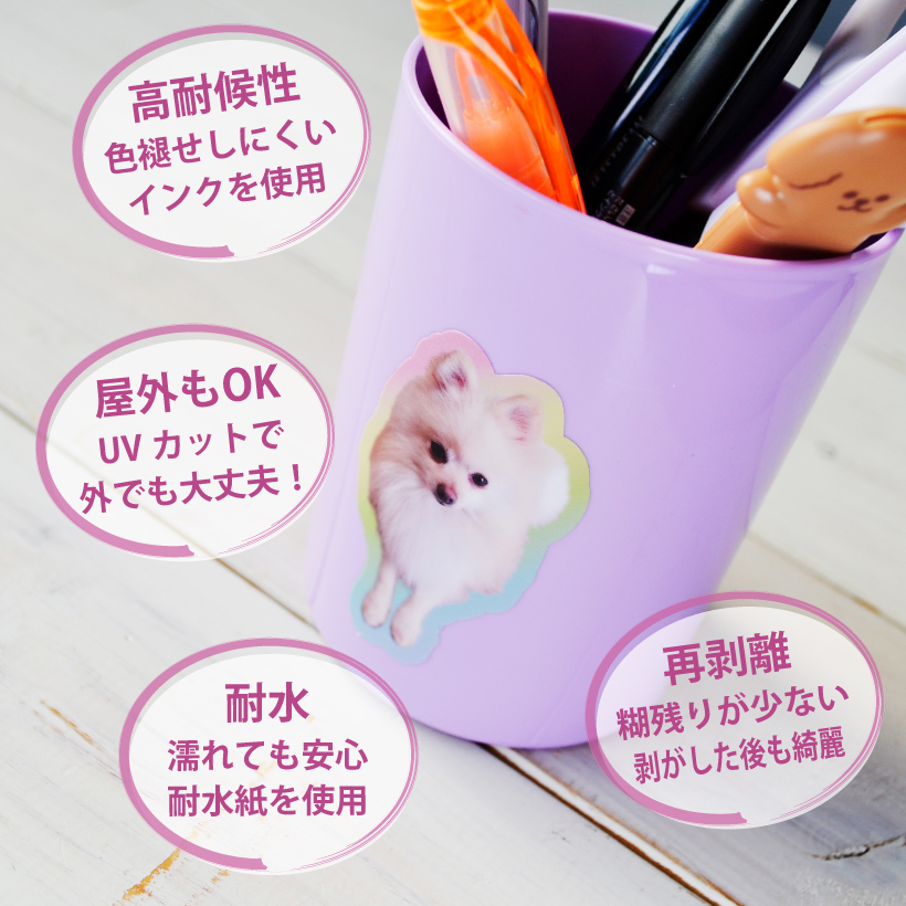 ステッカー 犬 猫 オリジナル 《 ダイカットminiステッカー 》【 5色 各3枚 15枚セット 】 写真 画像 シール オーナーグッズ MYフォト 切り抜き ダイカット パステルカラー ペット以外もOK 子供 スマホケースに入れる 屋外対応 耐水 色褪せしにくい シェアできる かわいい