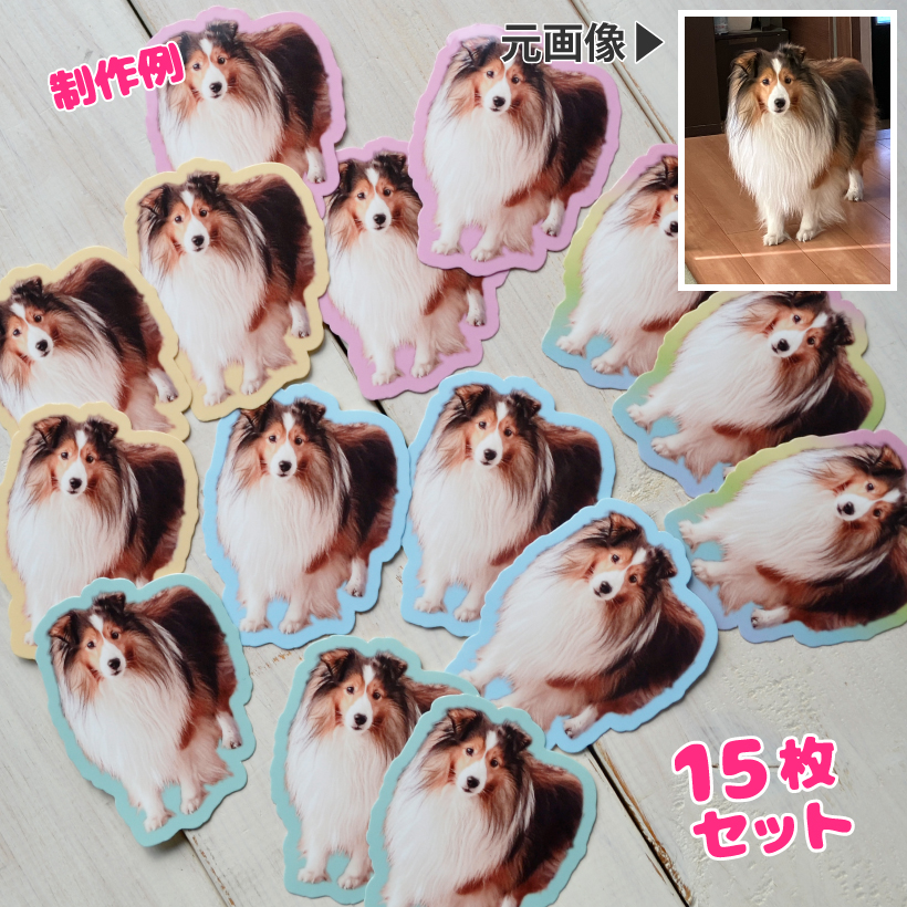 ペット