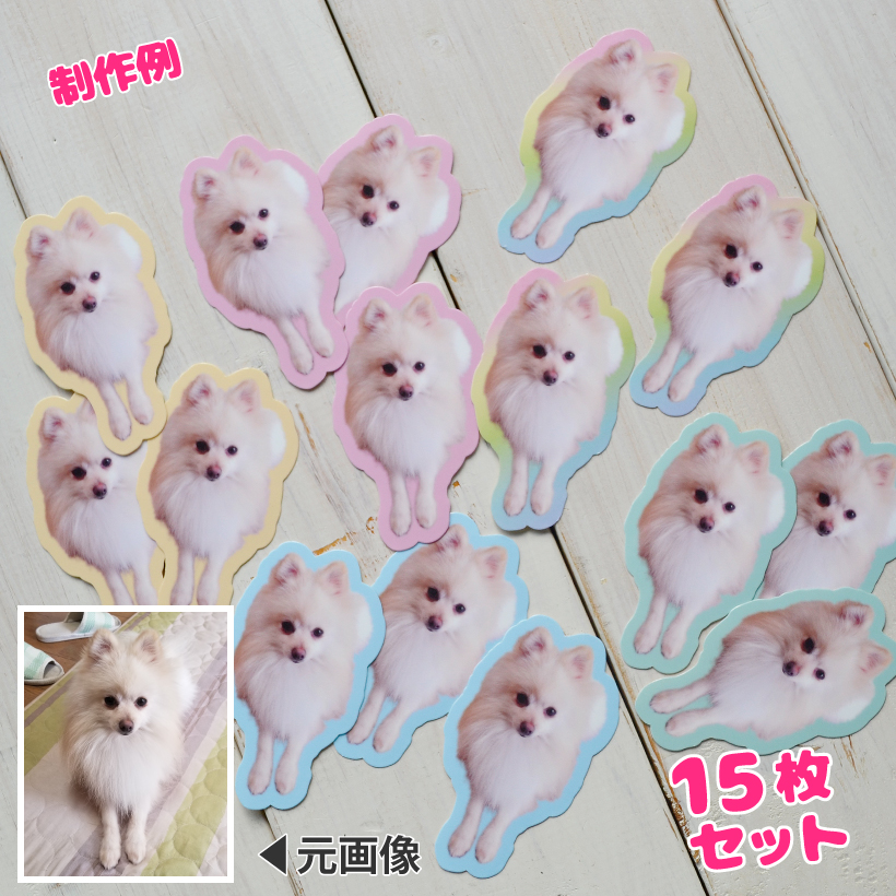 愛猫"