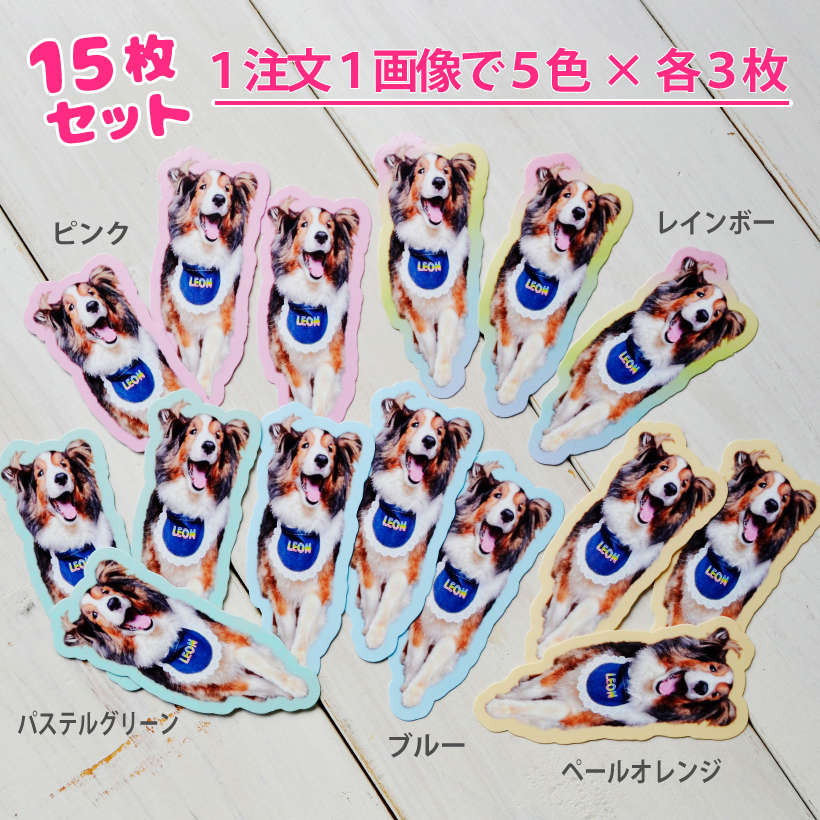 ステッカー 犬 猫 オリジナル 《 ダイカットminiステッカー 》【 5色 各3枚 15枚セット 】 写真 画像 シール オーナーグッズ MYフォト 切り抜き ダイカット パステルカラー ペット以外もOK 子供 スマホケースに入れる 屋外対応 耐水 色褪せしにくい シェアできる かわいい