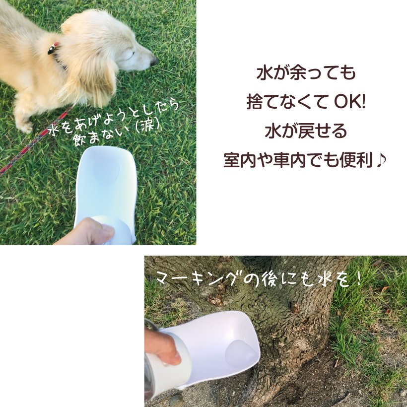 犬 ウォーターボトル 給水器 「 ひょっこり わんこ にゃんこ 」 柴犬