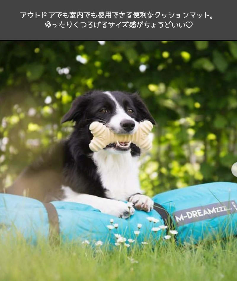 犬 中型犬 バギー カート M-PETS AVENTURAペットストローラー : 6953182739838 : ペットグッズ専門店Petifam -  通販 - Yahoo!ショッピング