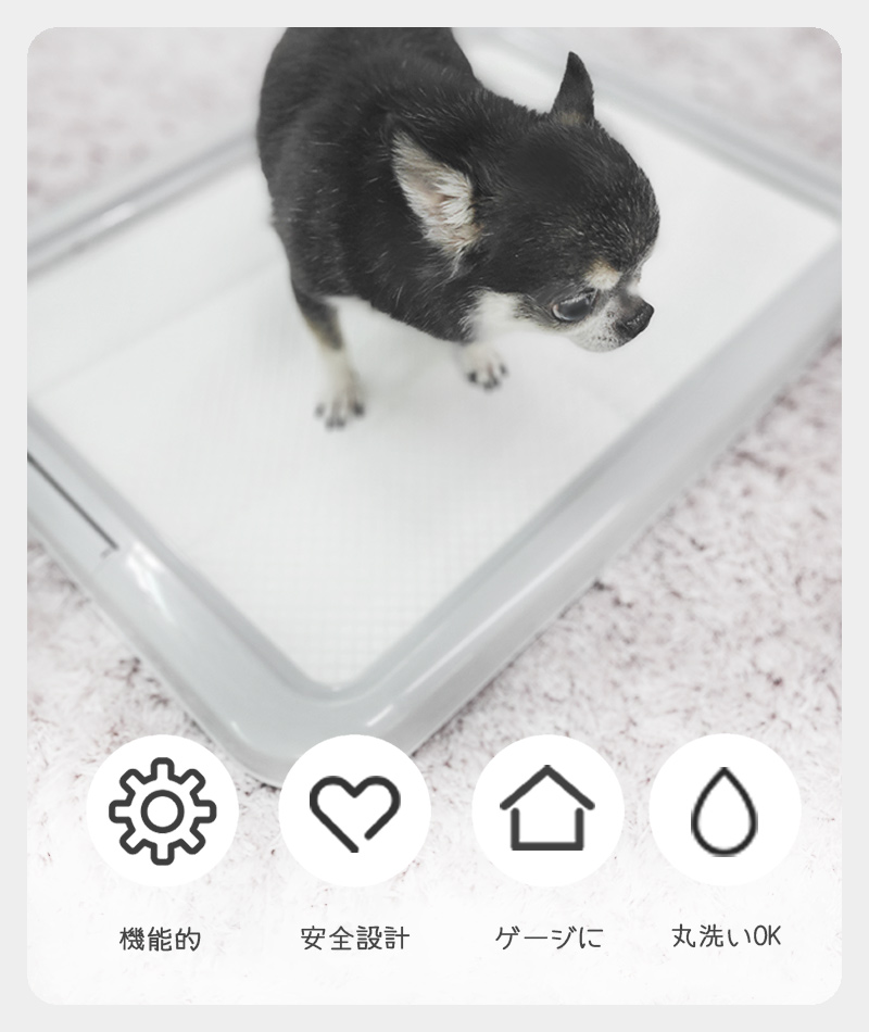 犬 トイレ トイレトレー シンプル 掃除しやすい 子犬 超小型犬 小型犬 パピー トイレトレーニング Petifam M-PETS  ドッグトイレスターターキット ワイド