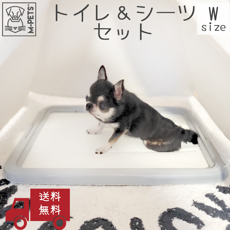 犬 トイレ トイレトレー シンプル 掃除しやすい 子犬 超小型犬 小型犬