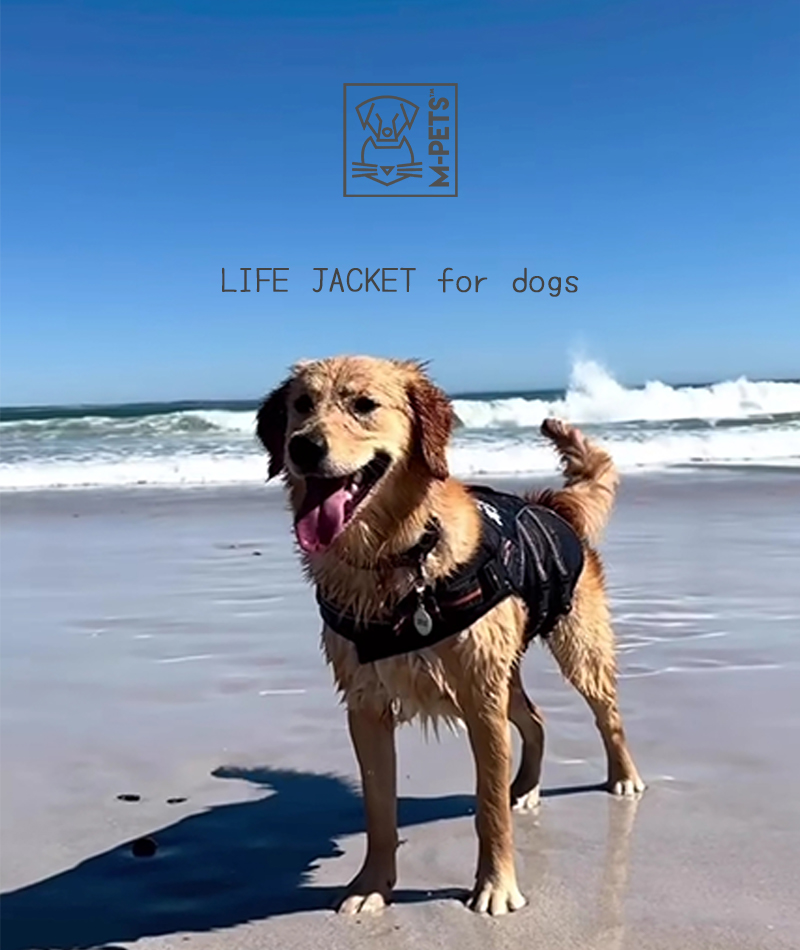 MーPETS ペット用品 犬 大型犬 アウトドア M-PETS ライフ