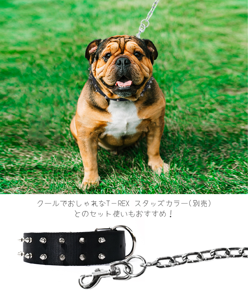 MーPETS ペット用品 犬 リード 中型犬 大型犬 丈夫 M-PETS GIANT