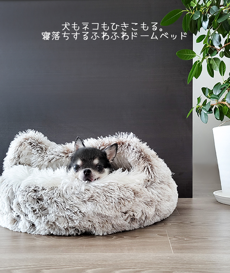 犬 猫 ベッド ハーフドーム M-PETS SNUGO ECOベッド : 6953182744221 : ペットグッズ専門店Petifam - 通販  - Yahoo!ショッピング