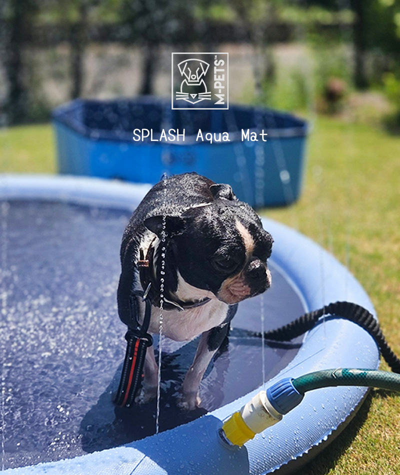 犬 小型犬 中型犬 大型犬 水遊び 噴水マット スプラッシュマット 熱中症予防 空気入れ不要 夏 M-PETS SPLASH Aqua Mat S/M    エムペッツ Petifam