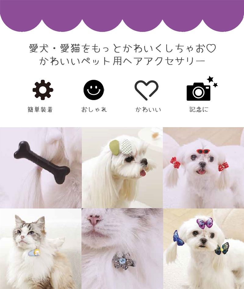 MーPETS ペット用品 犬 猫 トリミング おしゃれ M-PETS GLAMヘアー