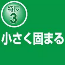 1個分お得 ベントナイトフリー おから 木製 鉱物 トイレに流せる ペティオ Petio 流せる固まる木の猫砂 10L×6 木粉 脱臭 消臭 ネコ砂