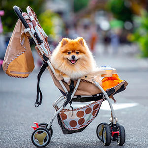 Add.Mate 犬用リュックキャリー 布地 アドメイト ハグムードッグ