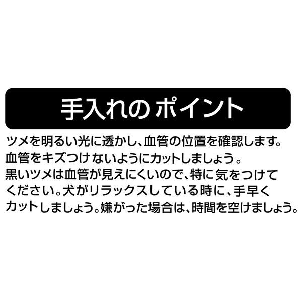 ペティオポルタネイルカーブカッターストッパー付爪切りを使った手入れのポイント