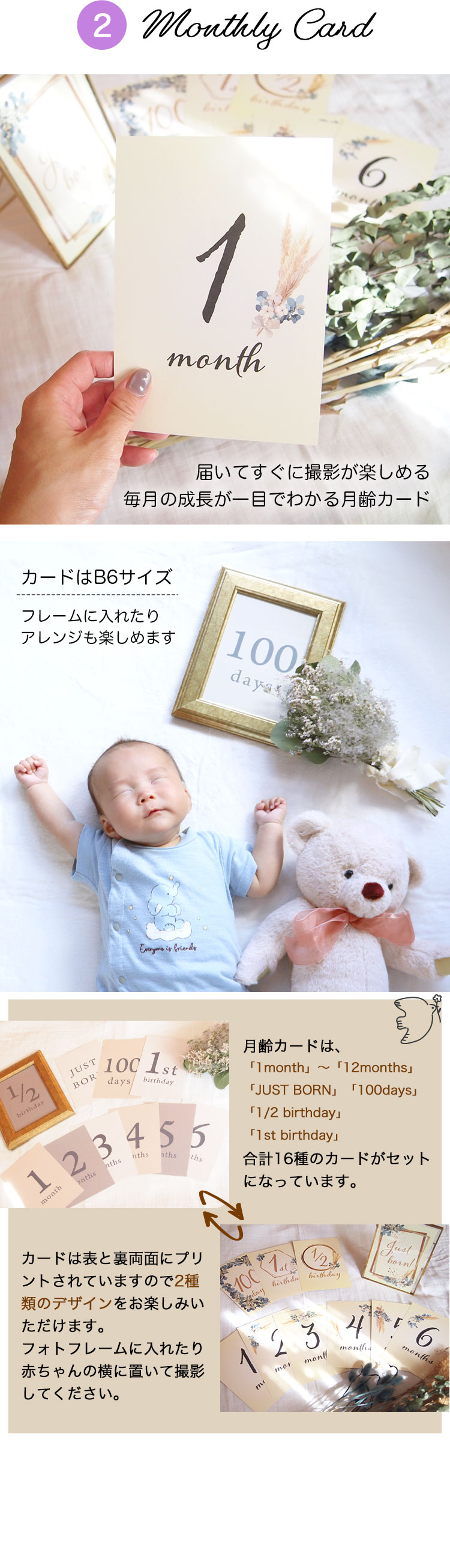 赤ちゃんフォト テディベアセット