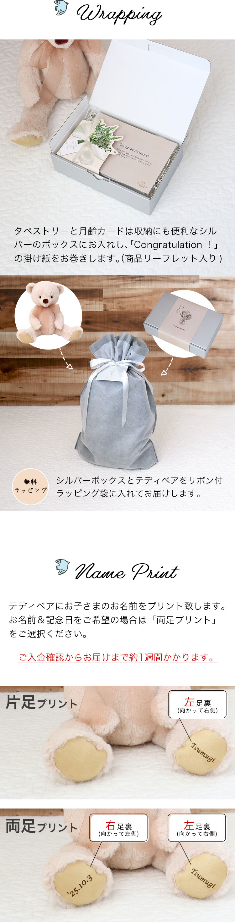 赤ちゃんフォト テディベアセット
