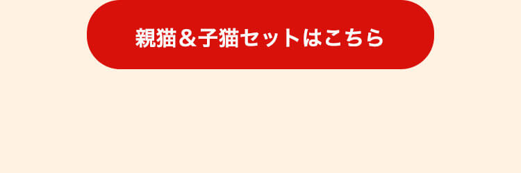 キャリーオンキャット キャリーオンバッグ