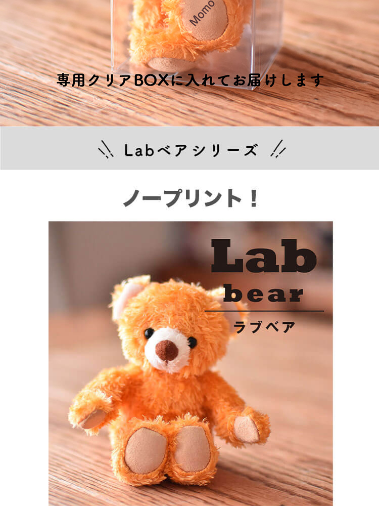 Labベア　4S　身長12cm　両足プリント