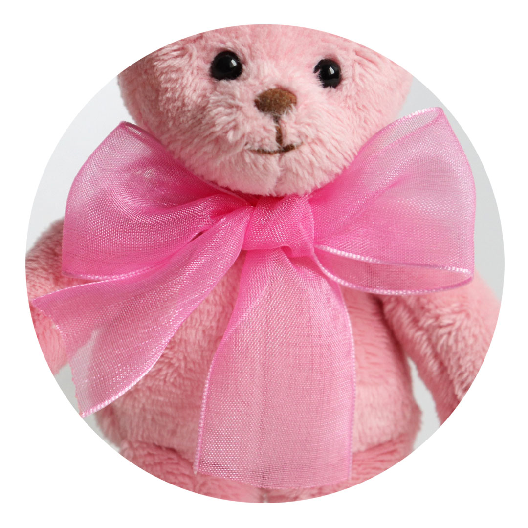 プティルウ（Petit Loup） ぬいぐるみ用 アクセサリー 誕生日